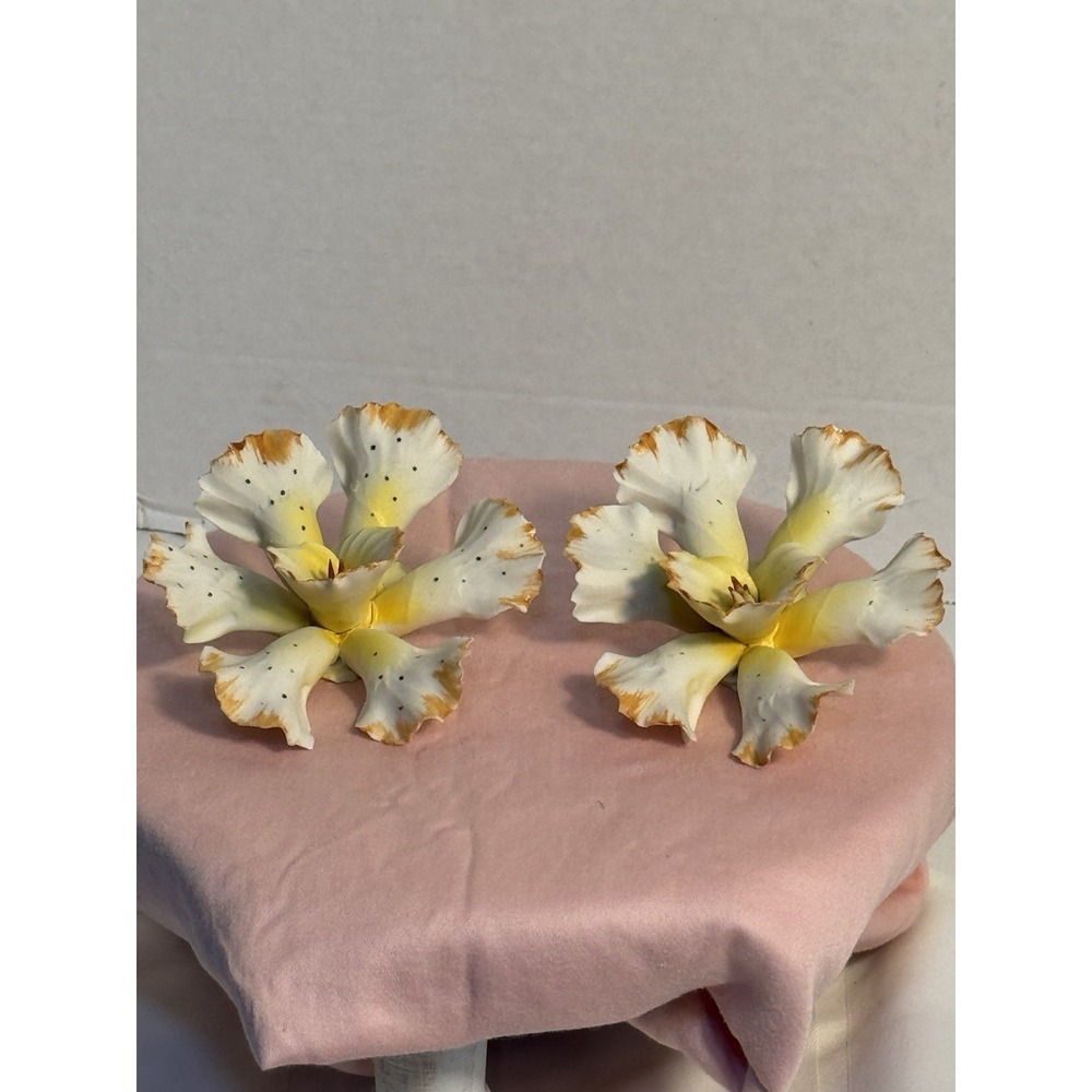 2 Vintage Capodimonte Porcelain Orchid Flower Delicate Bisque Yellow & White